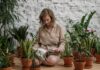 Puterea vindecătoare a plantelor: Descoperă beneficiile remediilor naturiste din grădina ta